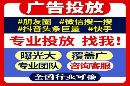 成功托管SEM竞价，实现品牌快速曝光